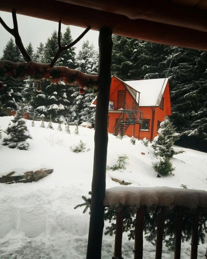 Sadyba Drymba Skhidnytsia Εξωτερικό φωτογραφία