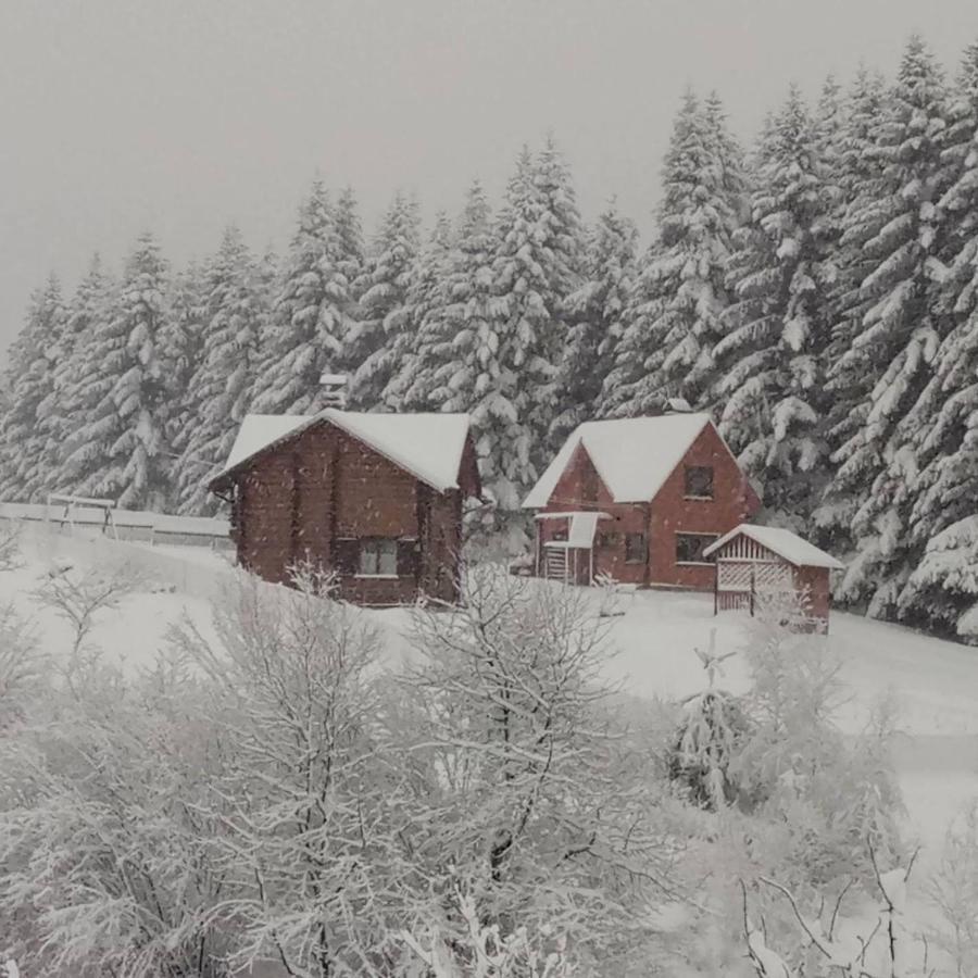Sadyba Drymba Skhidnytsia Εξωτερικό φωτογραφία