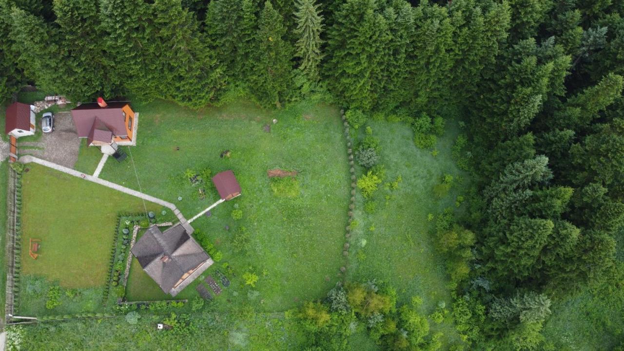 Sadyba Drymba Skhidnytsia Εξωτερικό φωτογραφία