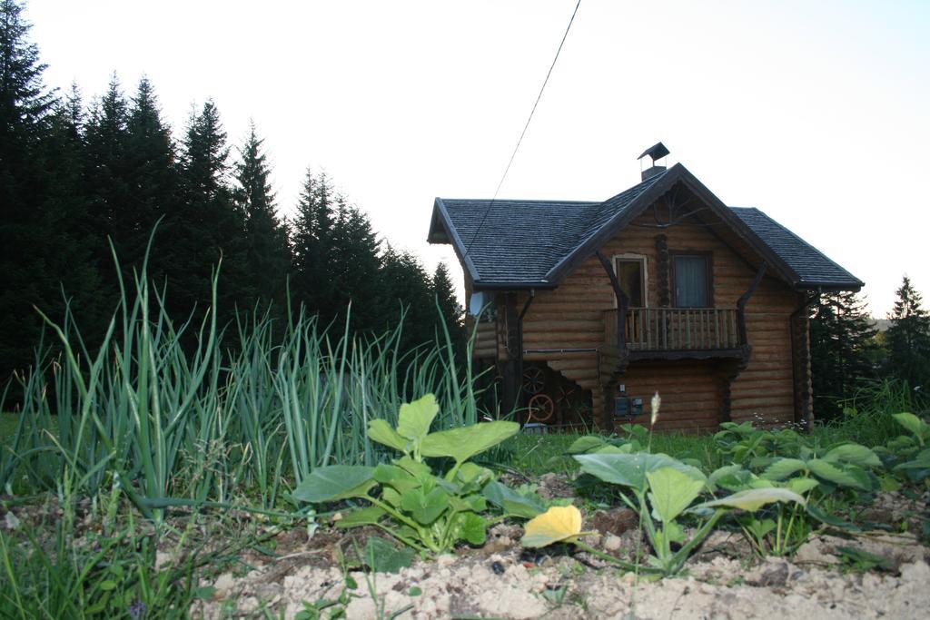 Sadyba Drymba Skhidnytsia Εξωτερικό φωτογραφία