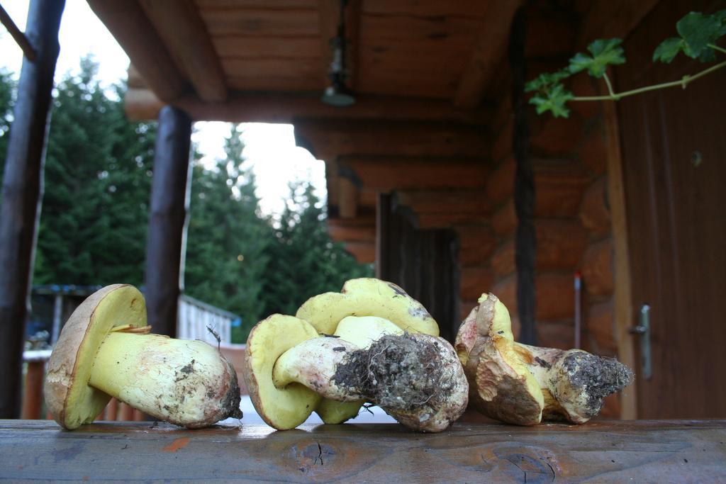 Sadyba Drymba Skhidnytsia Εξωτερικό φωτογραφία